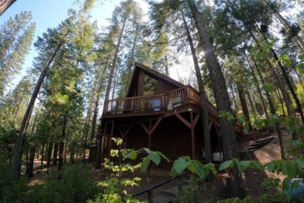 הוילה Long Barn Pinecrest A-Frame Family Fun Near Dodge Ridge מראה חיצוני תמונה